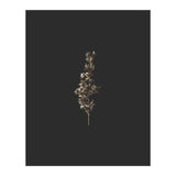 Gold Rush Botanicals (Print Only) thumbnail