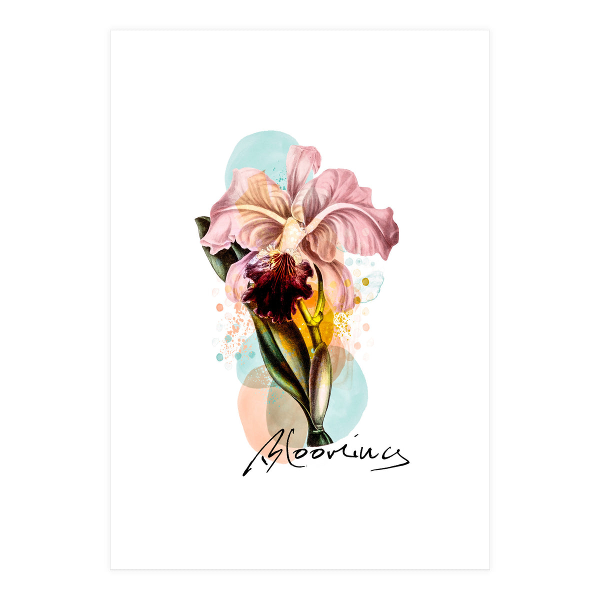 Blooming (Print Only)