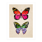 Two Butterflies (Print Only) thumbnail
