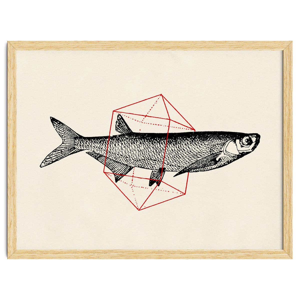 Fish In Geometrics II