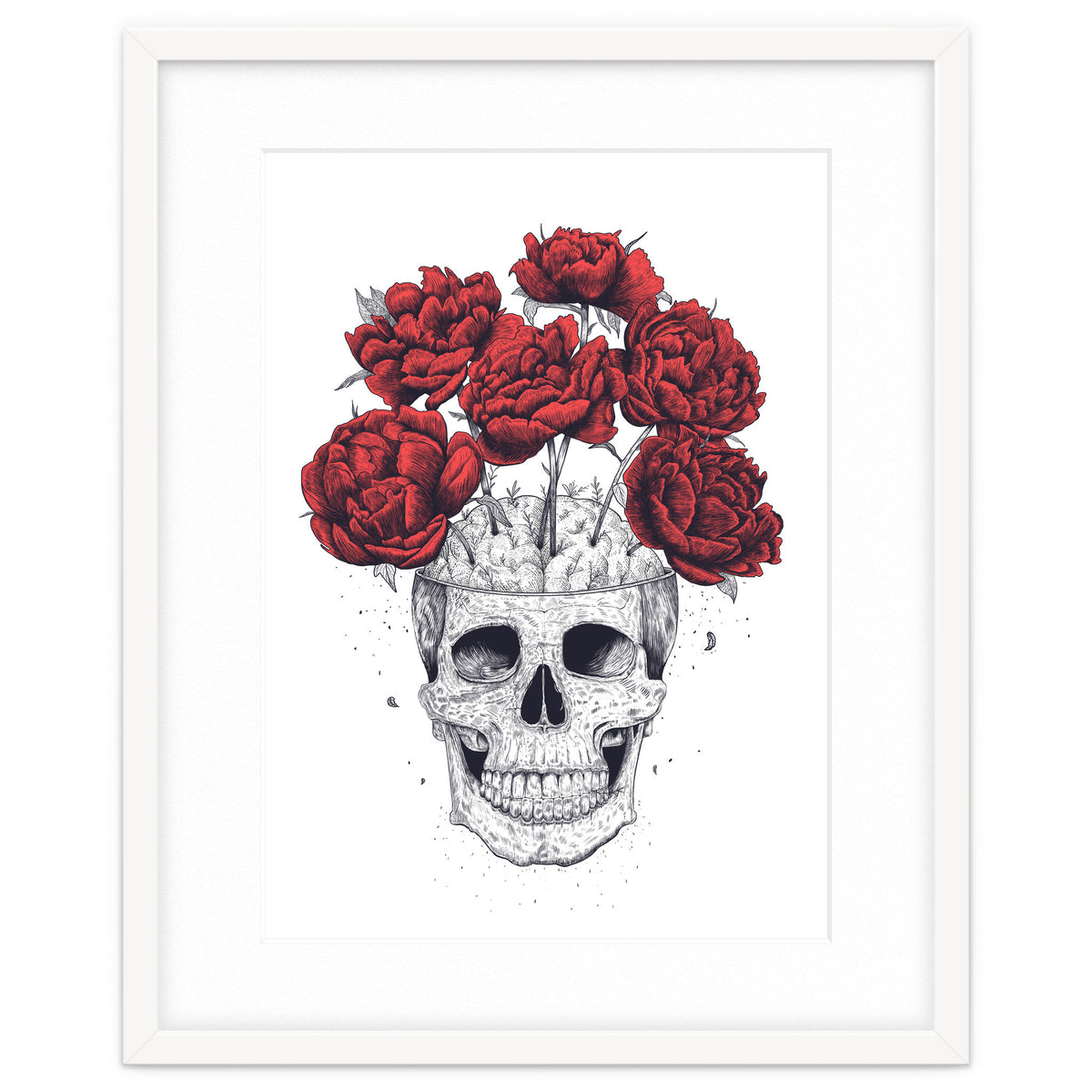 Skull With Peonies