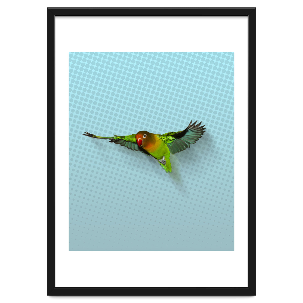 Flying lovebird