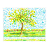 Apple Tree (Print Only) thumbnail