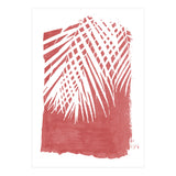 Palm Leaves On Red (Print Only) thumbnail