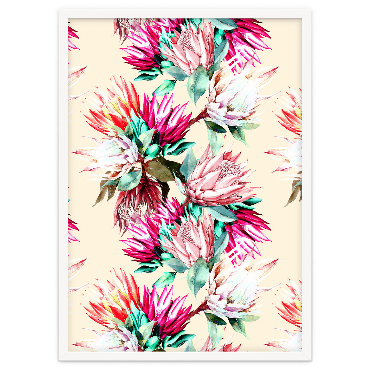 King proteas bloom II