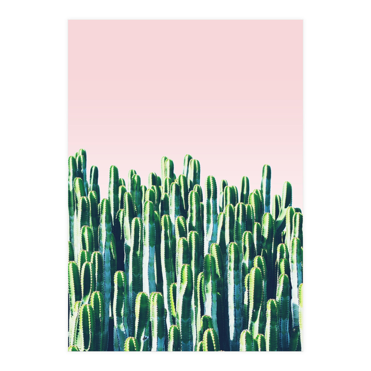 Cactus & Sunset I (Print Only)