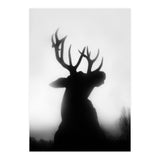 roar (Print Only) thumbnail