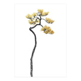 Bonsai Tree 05 (Print Only) thumbnail