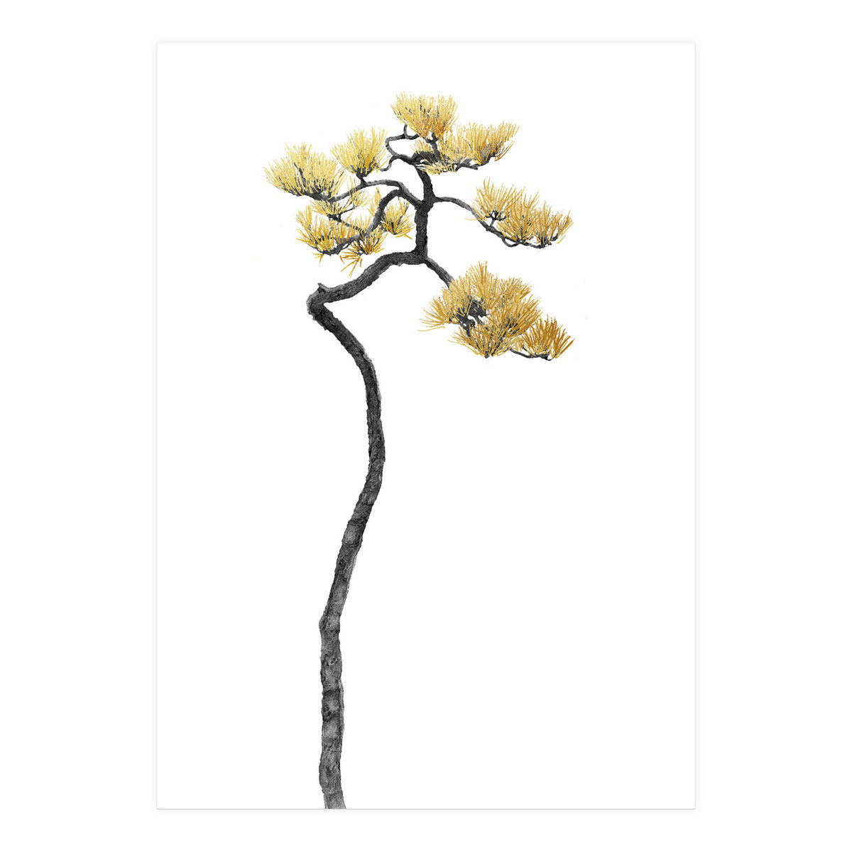 Bonsai Tree 05 (Print Only)