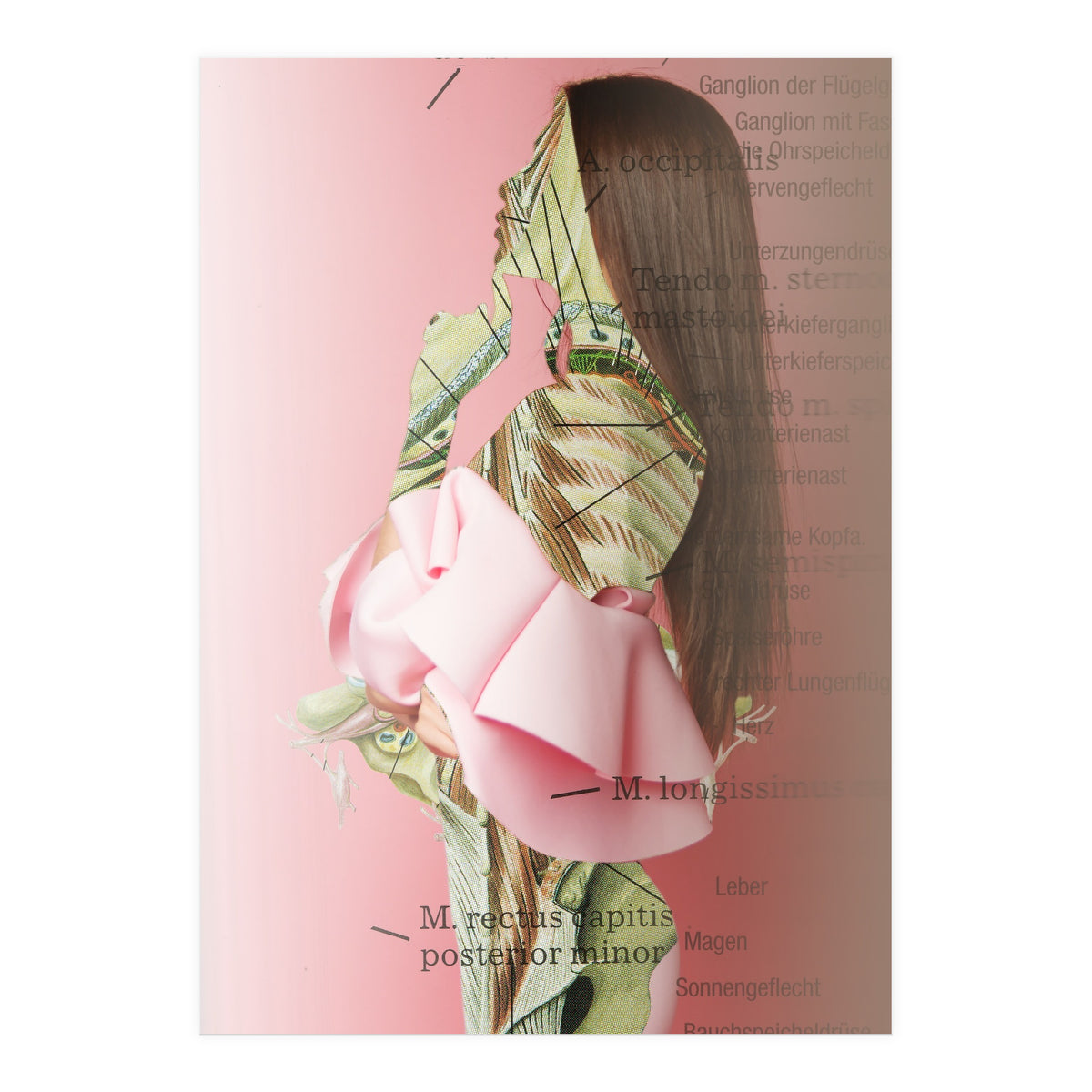 Crazy Woman 201 (Print Only)