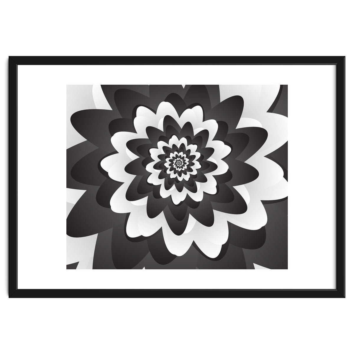 Mono Chrome Flower Spiral Pattern