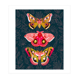 Lepidoptery Study No. 4 (Print Only) thumbnail