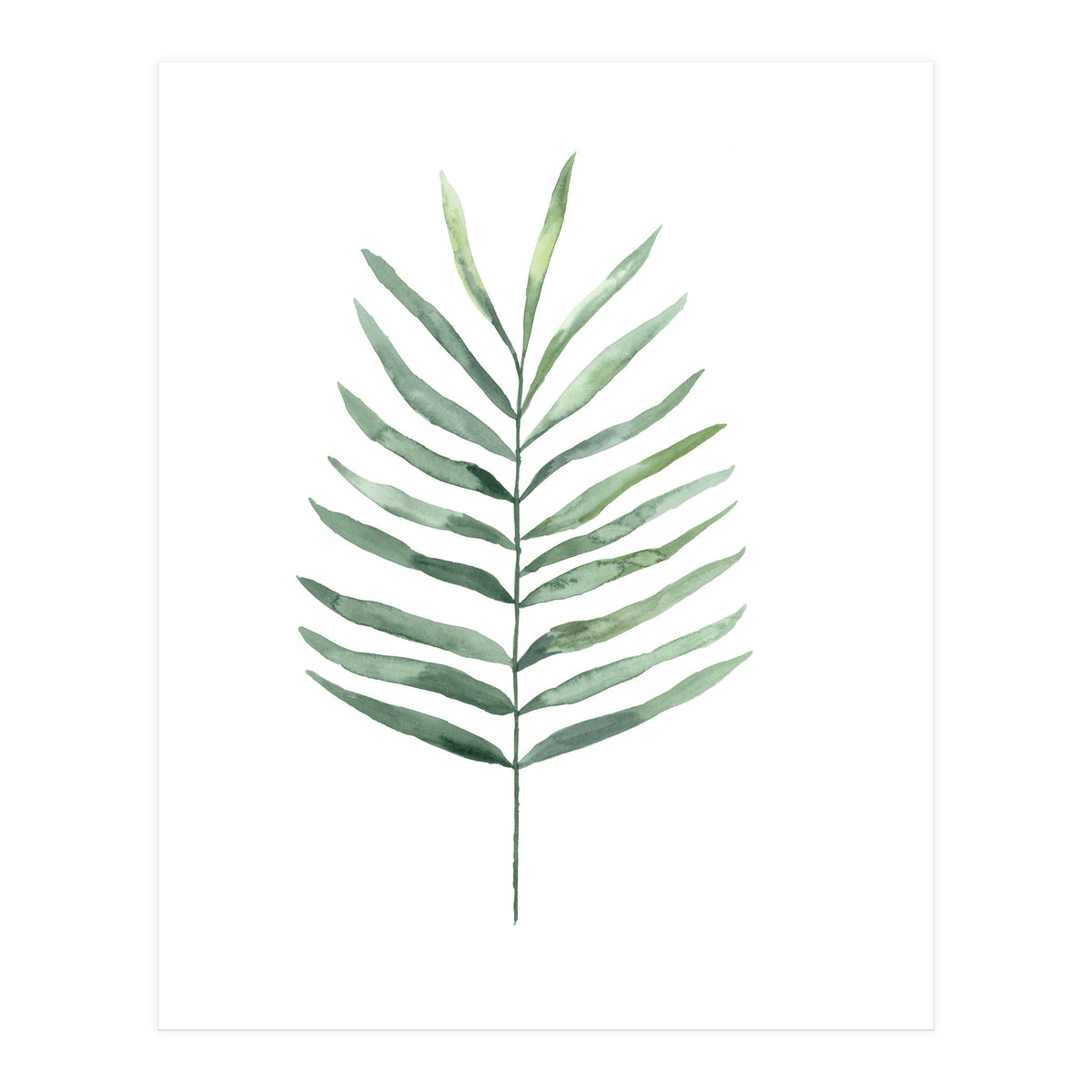 Botanical Illustration Fern (Print Only)
