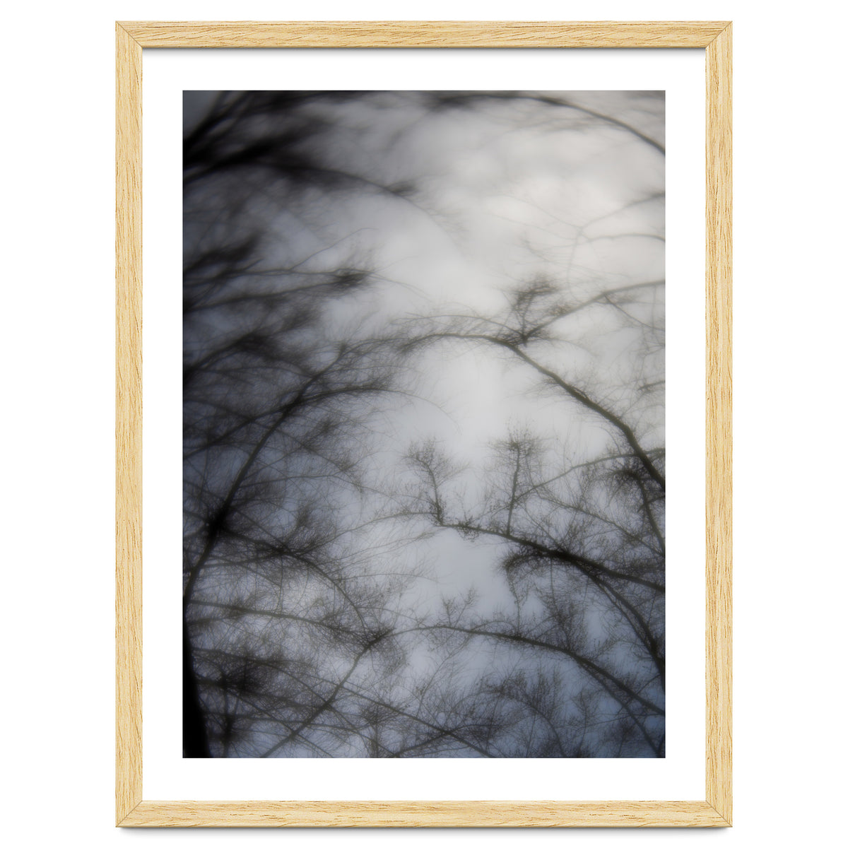 Forgotten Memories of Summer #16