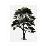 Tree Minimalist Watercolor (Print Only) thumbnail
