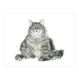 Fatcatred (Print Only) thumbnail