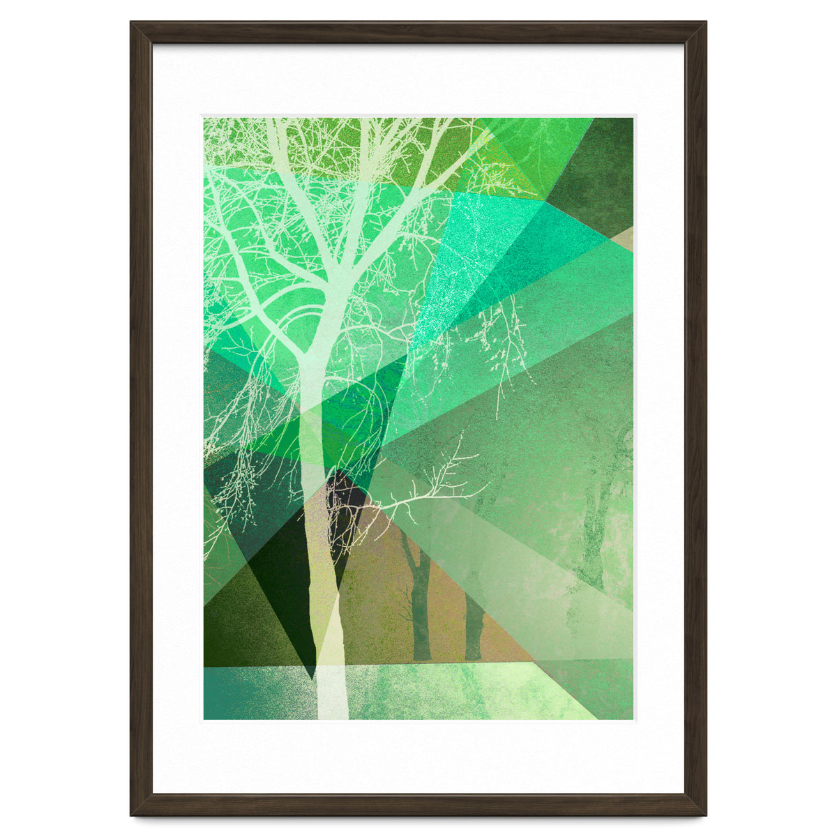 P22 B Trees And Triangles