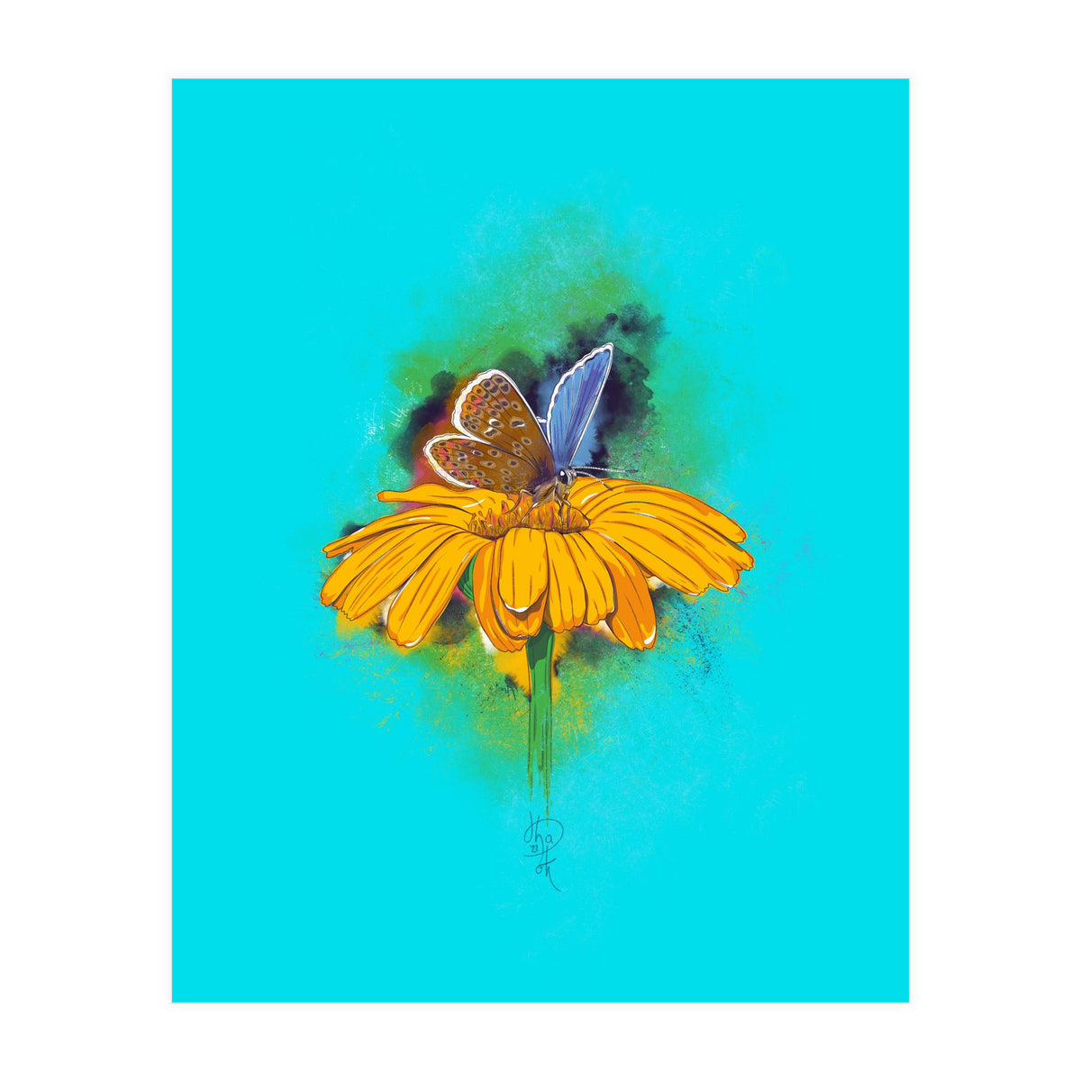 Butterfly 5 (Print Only)