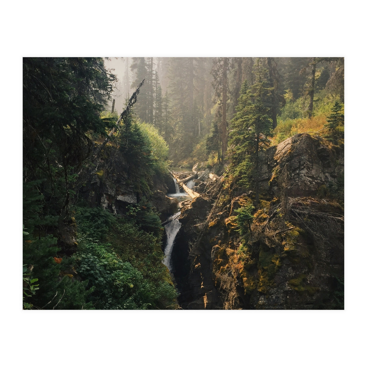 Glacier National Park I (Print Only)