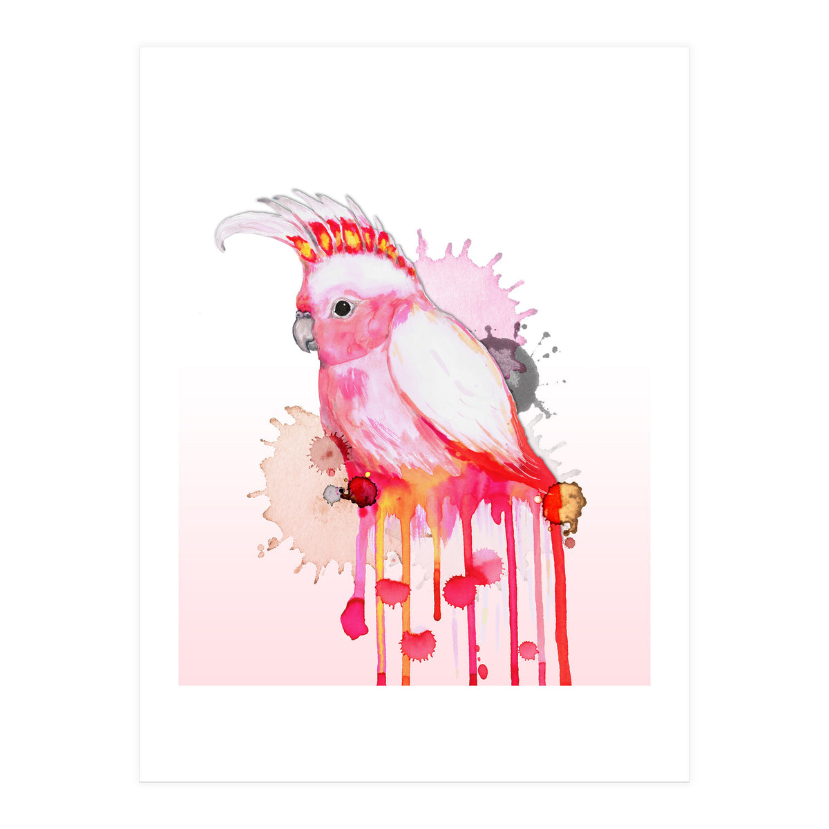 Major Mitchell's cockatoo (Print Only)