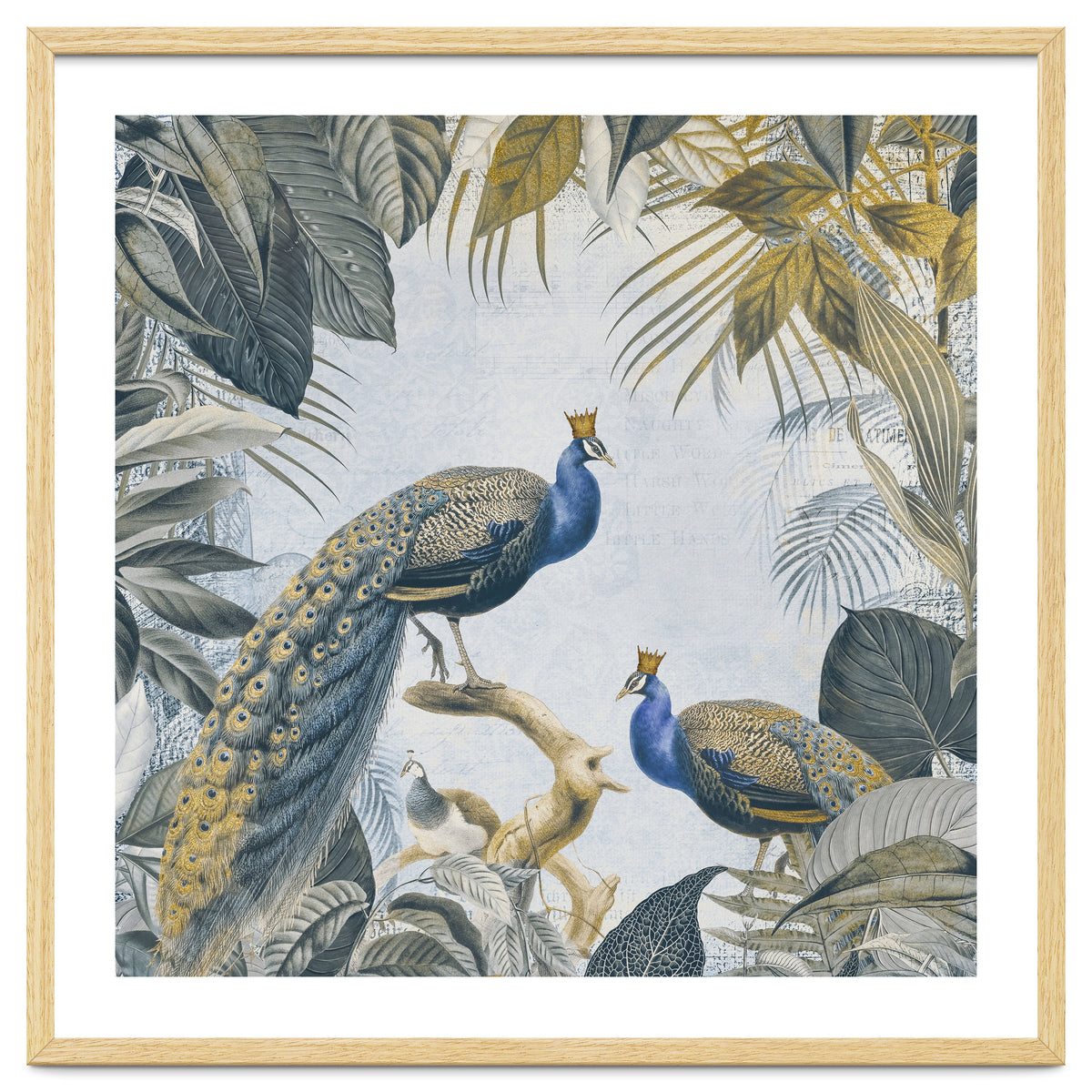 Fantastic Peacock Kings Gold Look