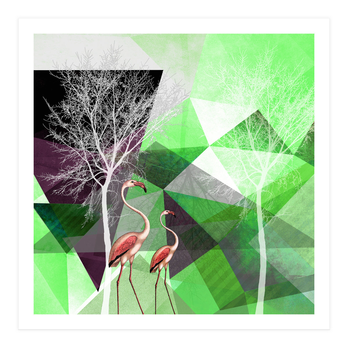 FLAMINGOS P21  (Print Only)