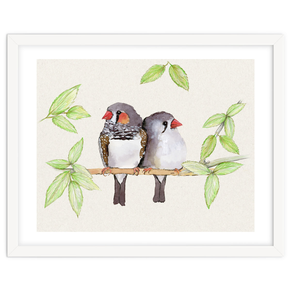 Sweet couple of zebra finches