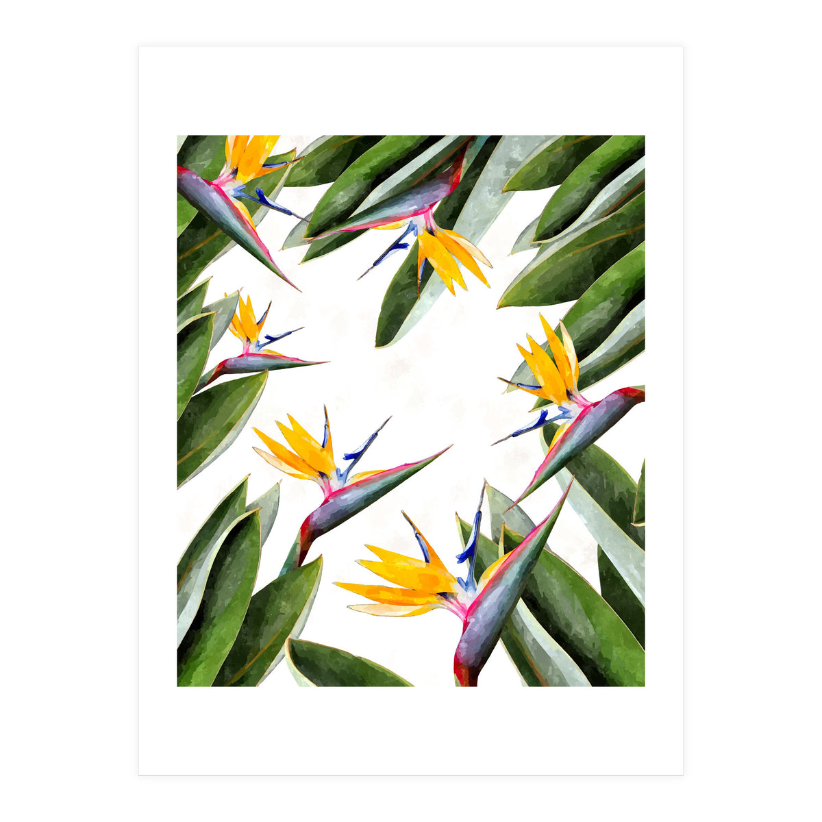 Bird Of Paradise (Print Only)