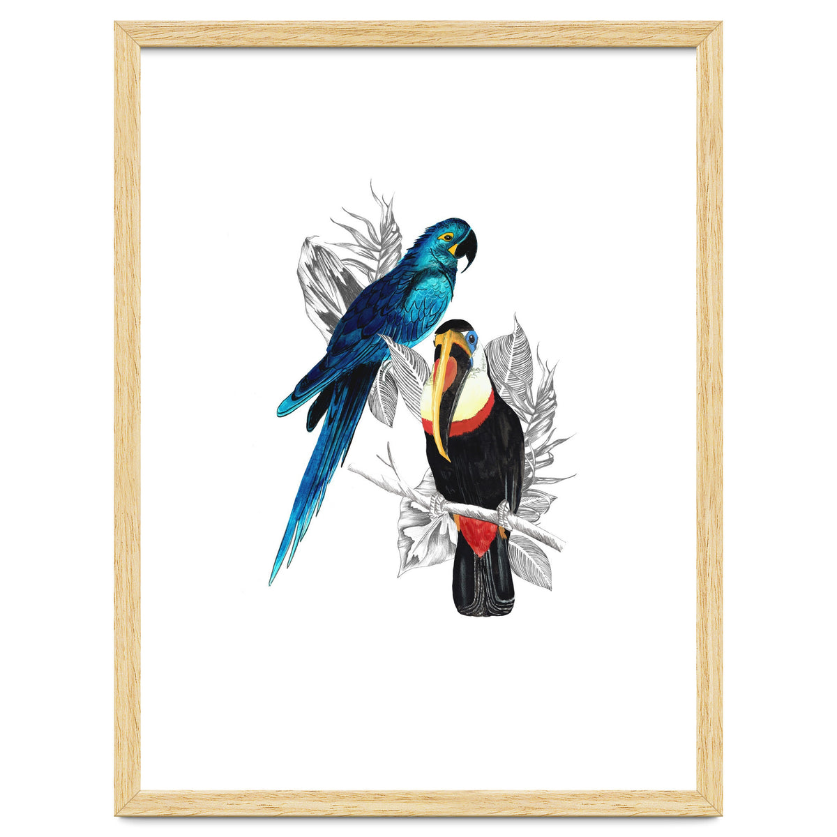The Toucan and the Parrot