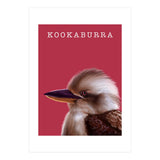 Kookaburra (Print Only) thumbnail