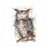 Owl - Wildlife Collection (Print Only) thumbnail