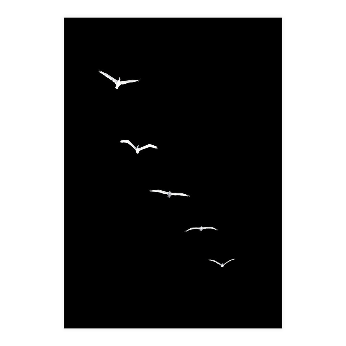 Heavenly Creatures Dark (Print Only)