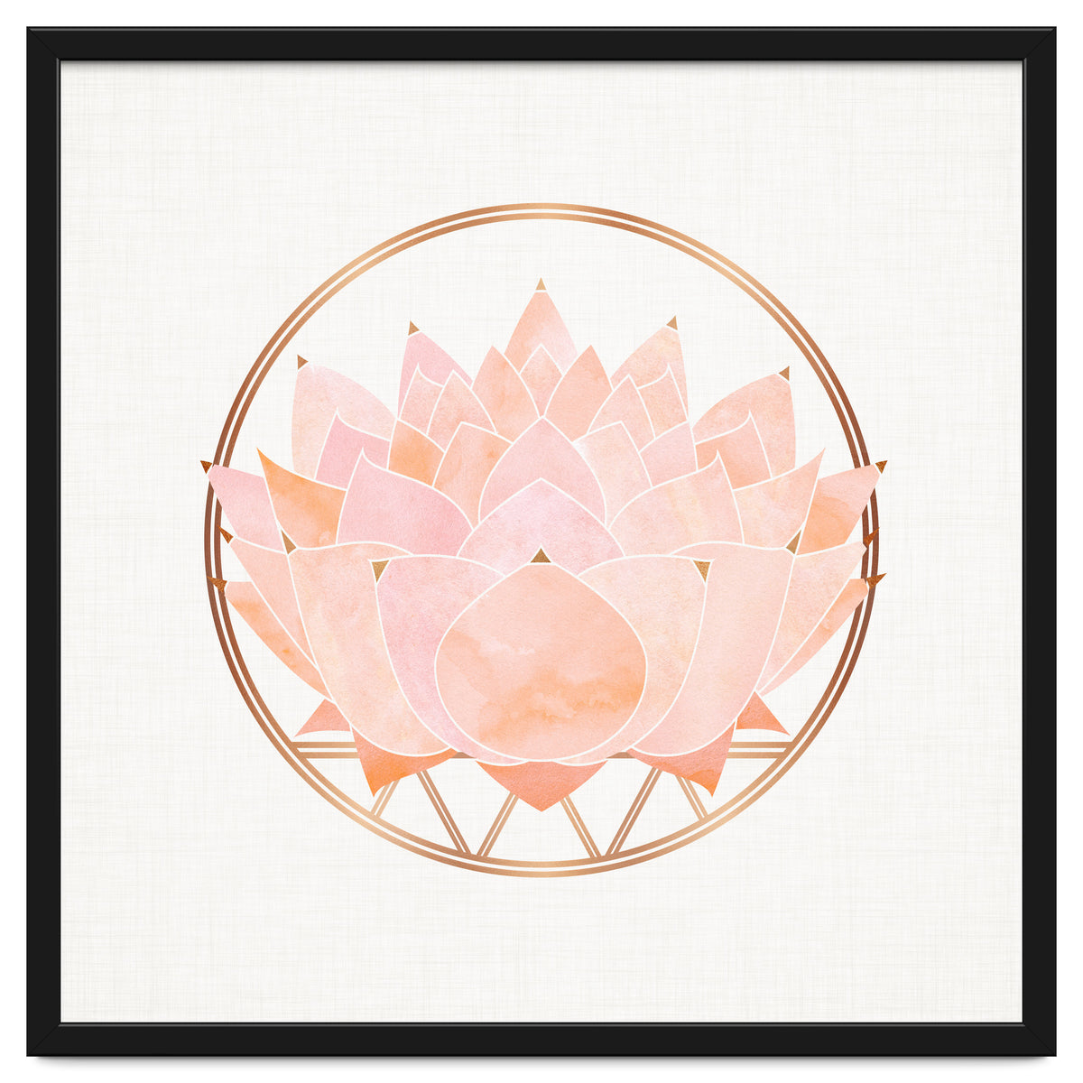 Peach Succulent  Blossom