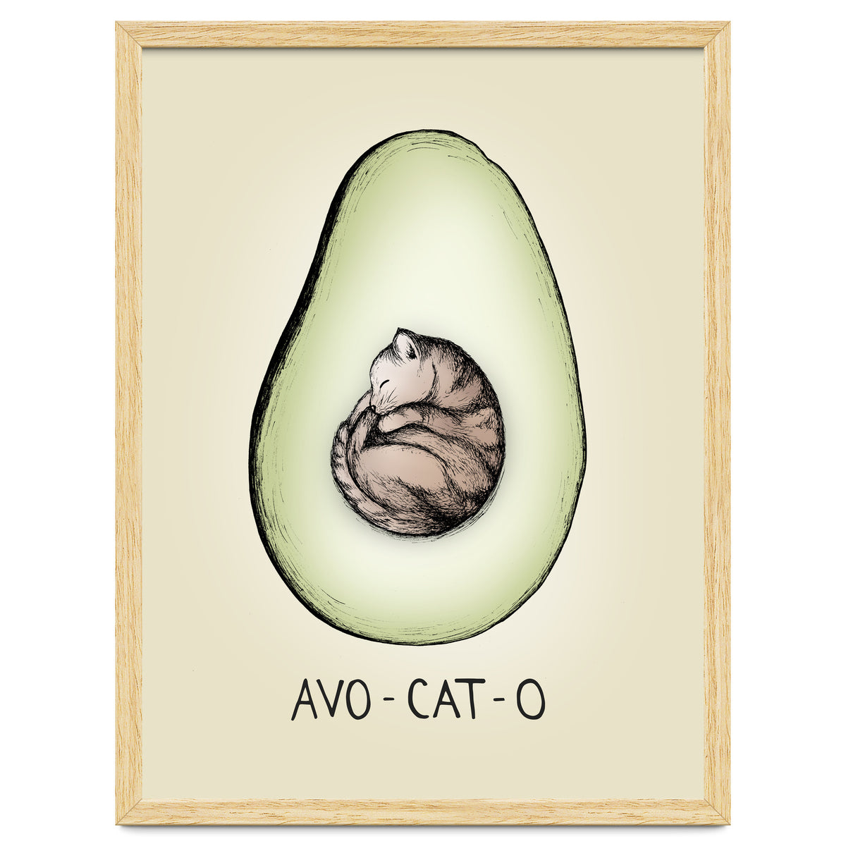 Avo-cat-o