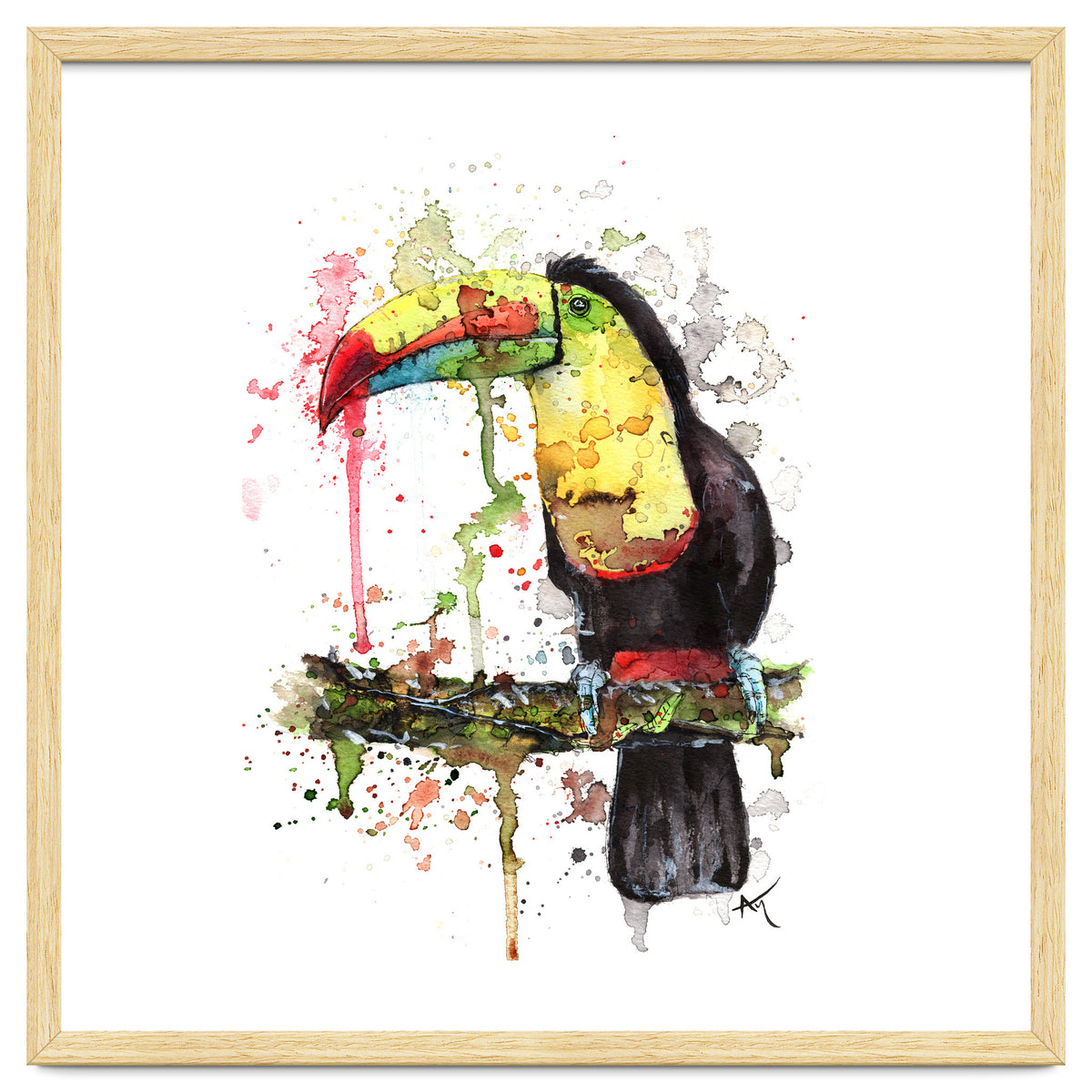 Toucan - Wildlife Collection
