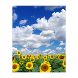 Nature (Print Only) thumbnail