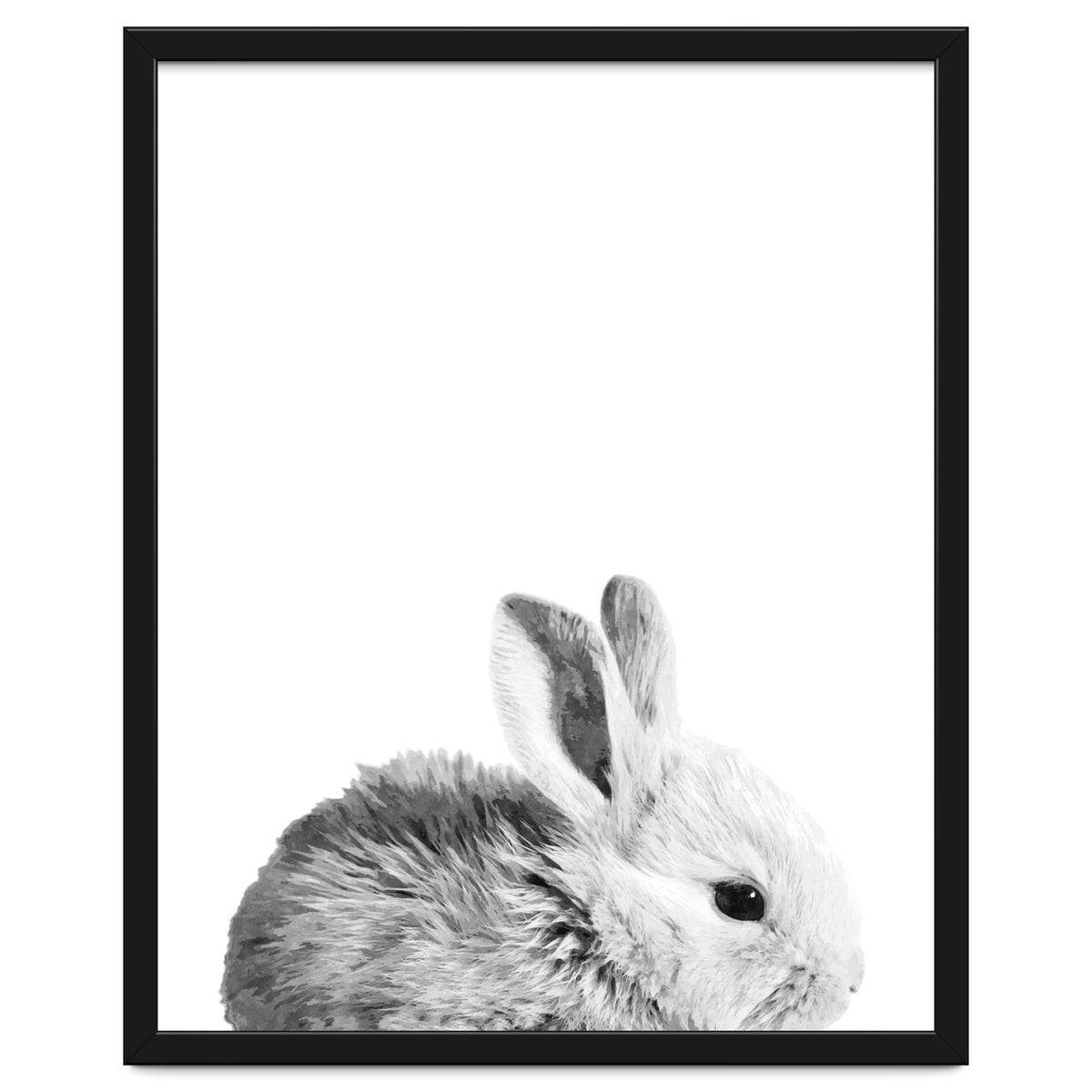 Black and White Bunny Portrait