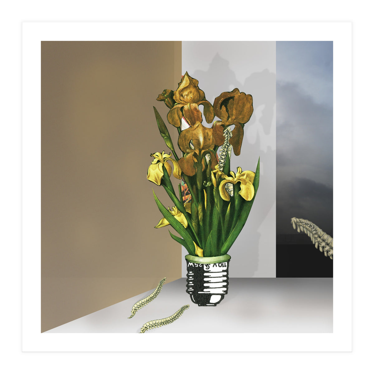 Das Licht Der Pflanze (Print Only)