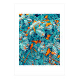 Winter Lush (Print Only) thumbnail
