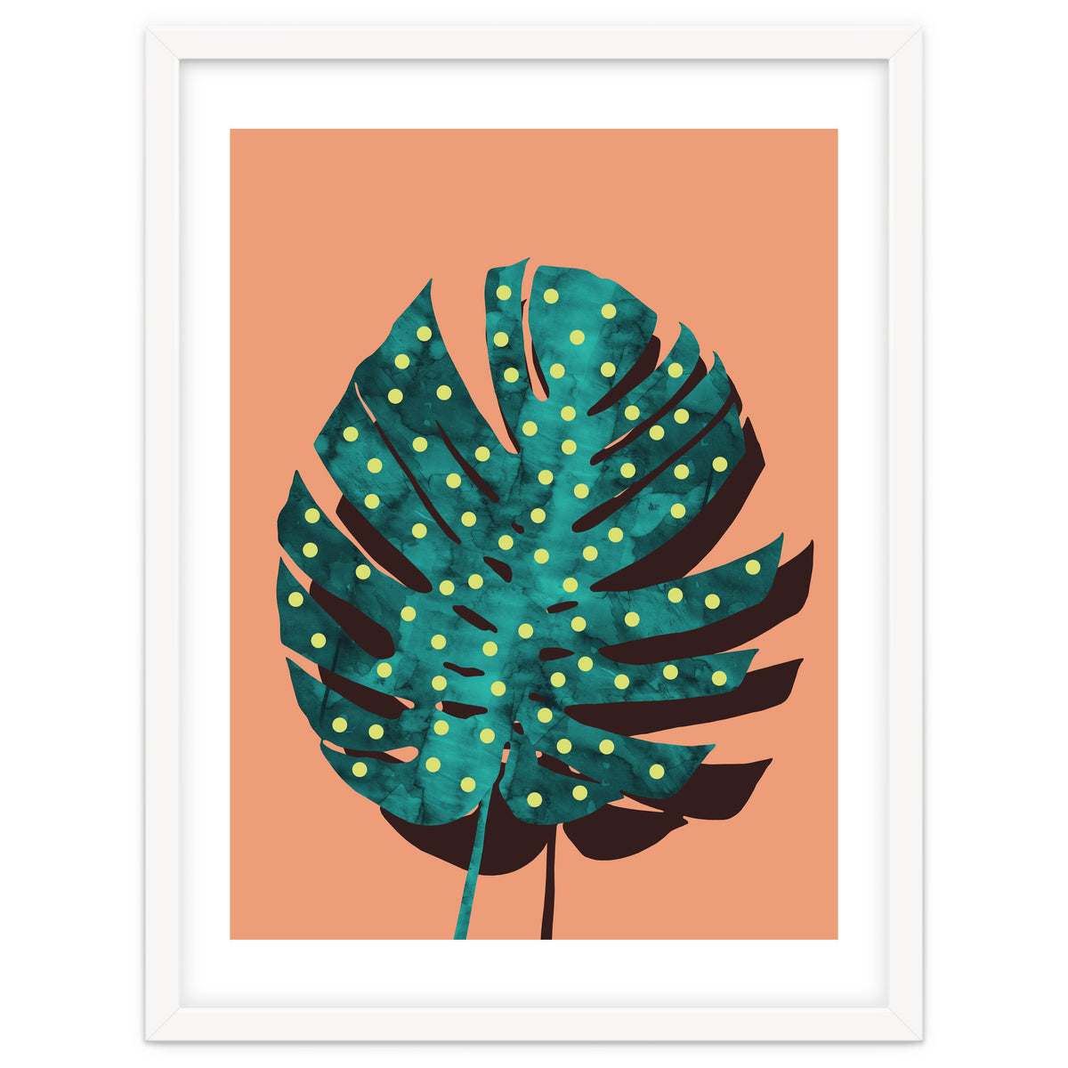 Monstera Deliciosa IV