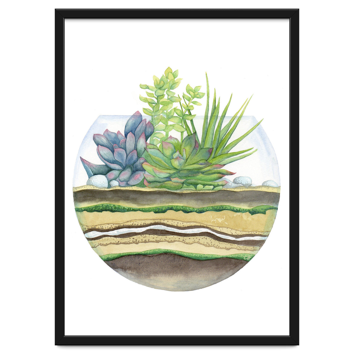 A Little Green Terrarium