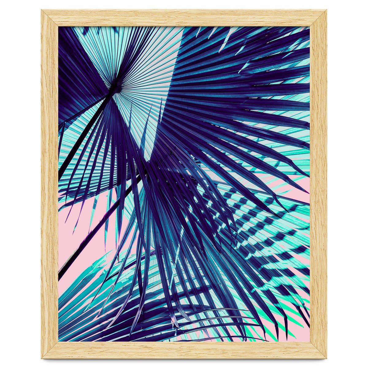 Palm leaf on the beach