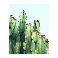 Cactus Love (Print Only)