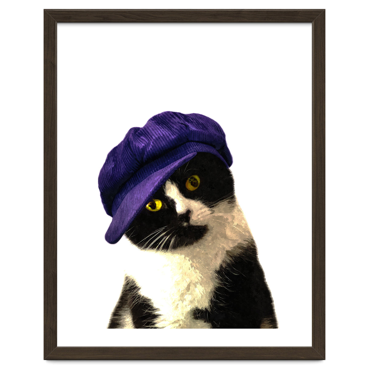 Cat Blue Hat