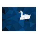Swan In Water Artwork (Print Only) thumbnail