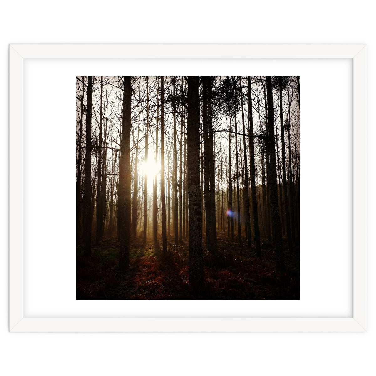 D3 A0 Cf3 E 6509 400 C 926 D 905230 D93 F61