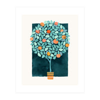 Orange Tree At Midnight (Print Only)