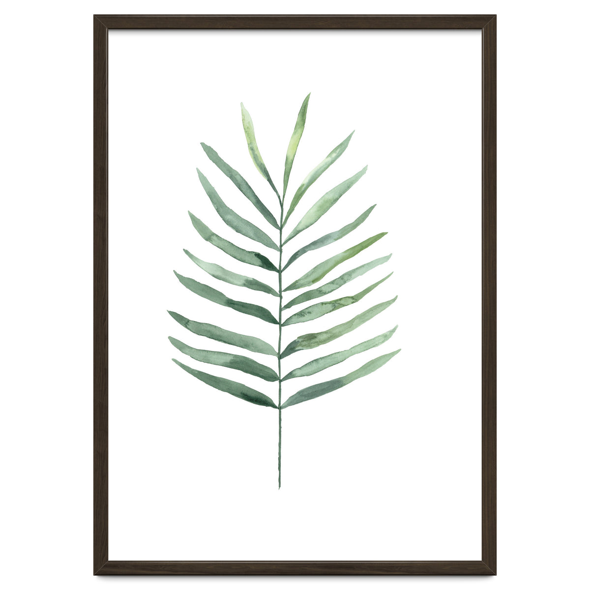 Botanical Illustration Fern