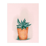 Aloe in orange pot (Print Only) thumbnail