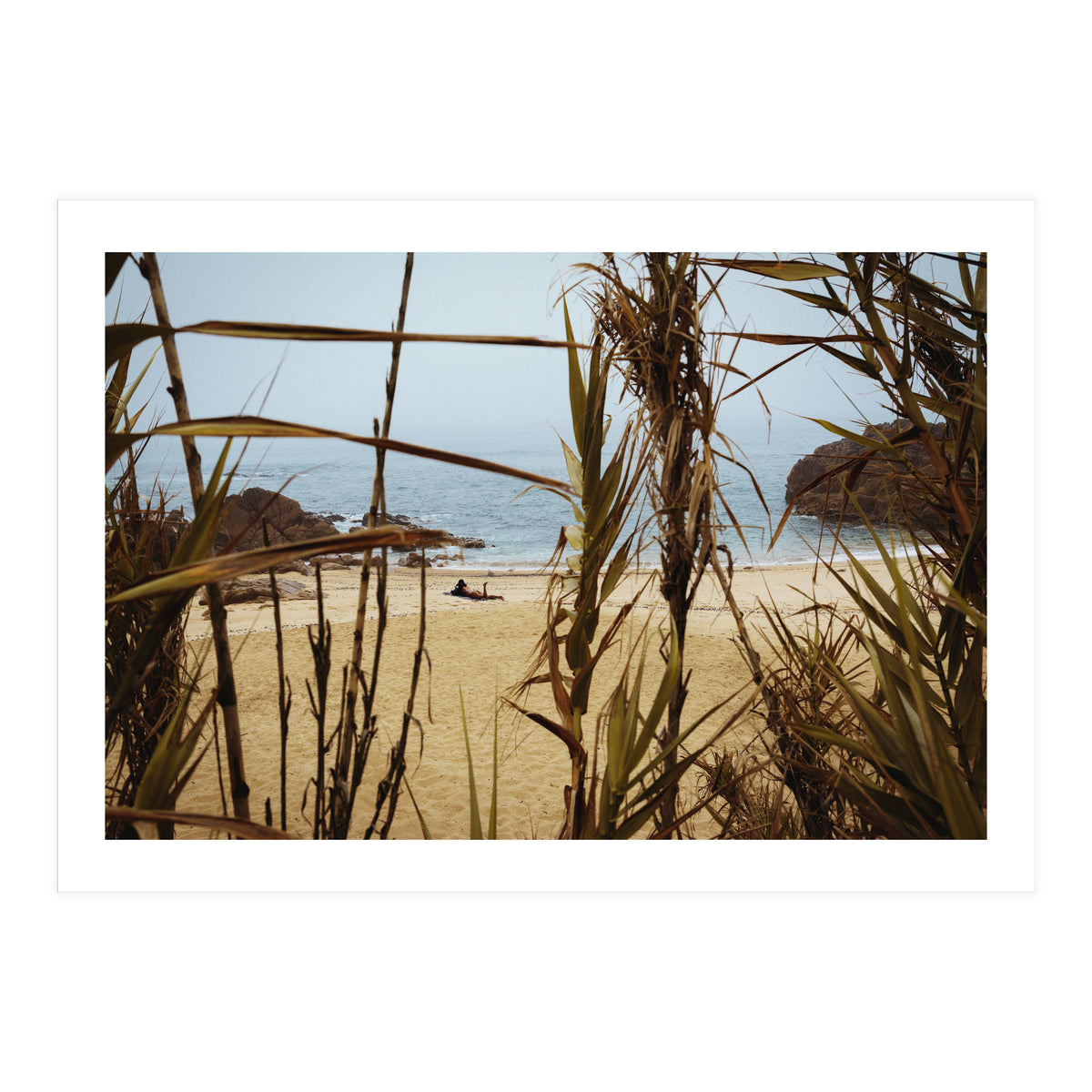 The Lure of a Tan (Print Only)